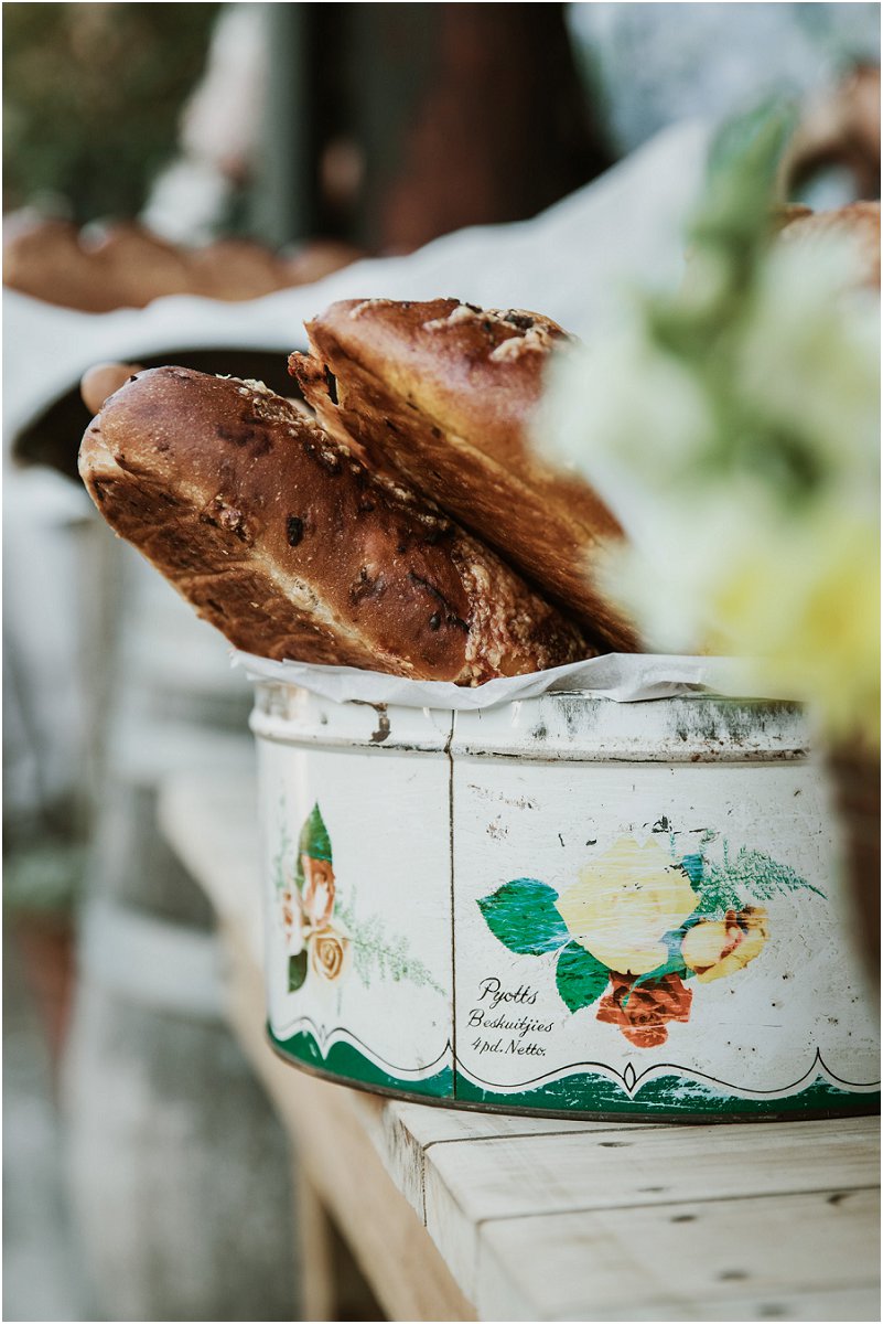 Striped Fox Photography