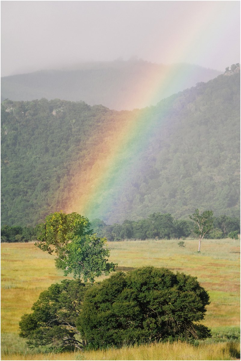 Dust and Dreams Photography