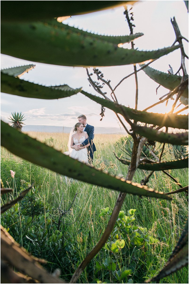 Dust and Dreams Photography