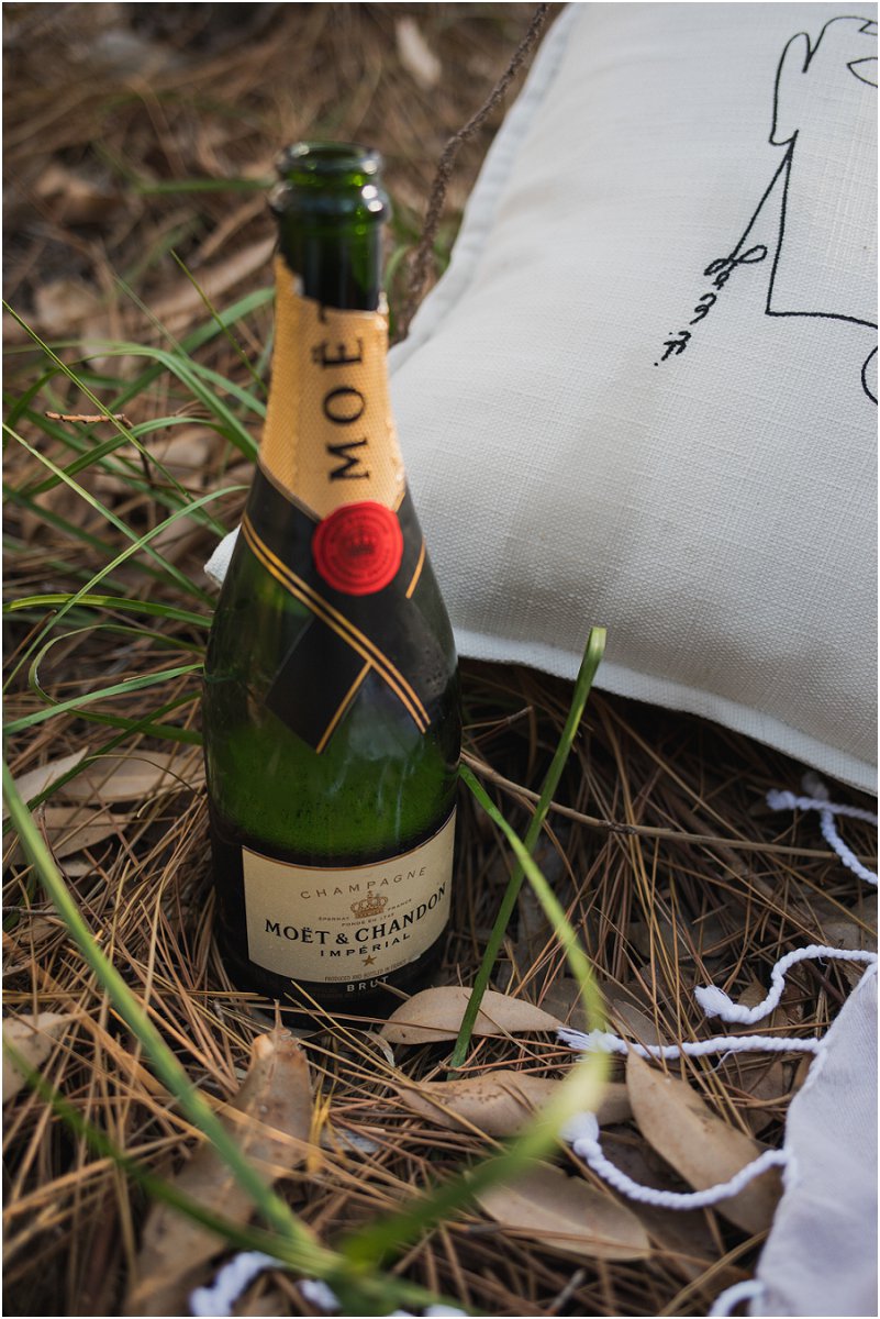 Shaula Greyvenstein Photography