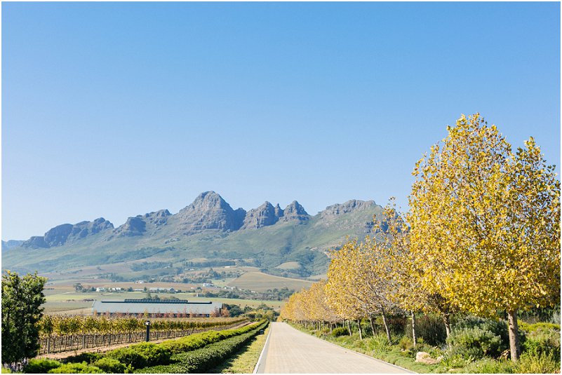 Wedding at Cavalli Estate