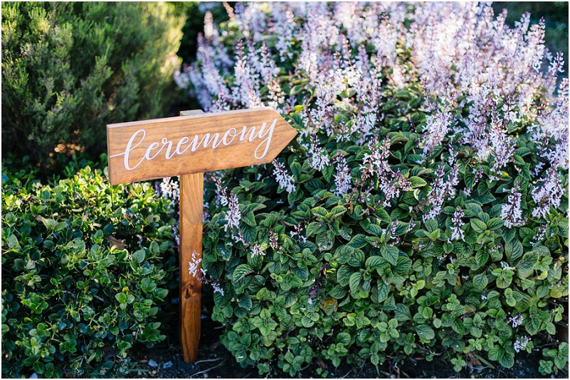 Wedding at Cavalli Estate