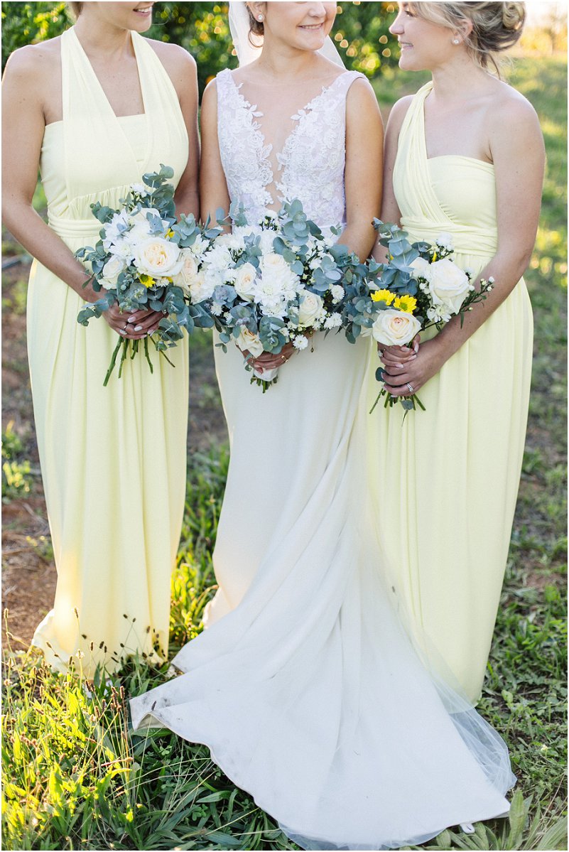 Wedding at Cavalli Estate