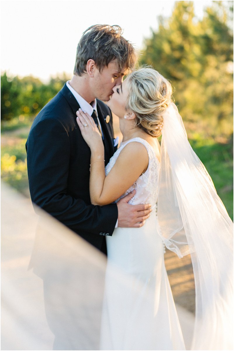 Wedding at Cavalli Estate