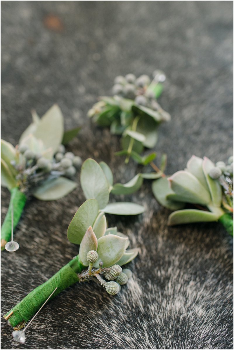 Dust and Dreams Photography