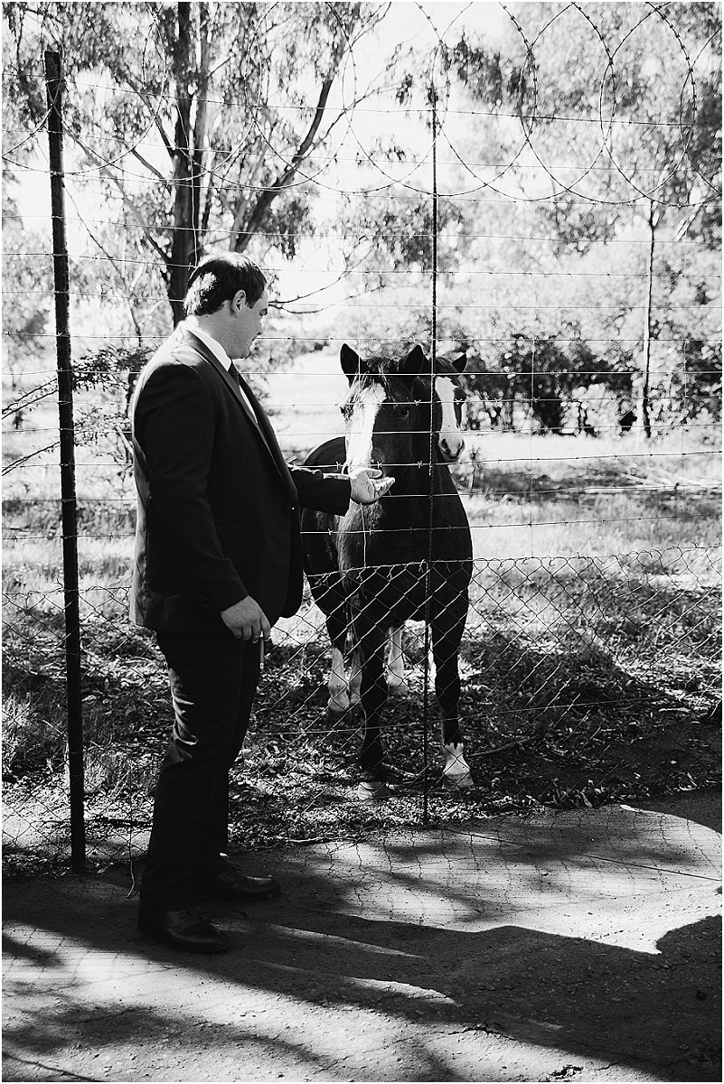 Tania Allen Photography