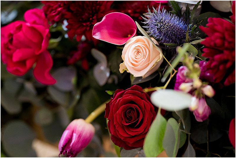 Tania Allen Photography