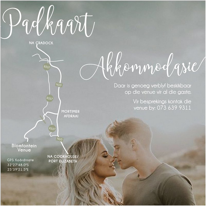 Modern Online Wedding Invitation Inspiration