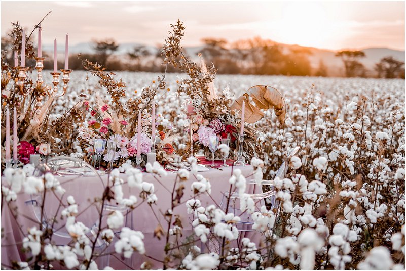 cottonfield wedding inspiration