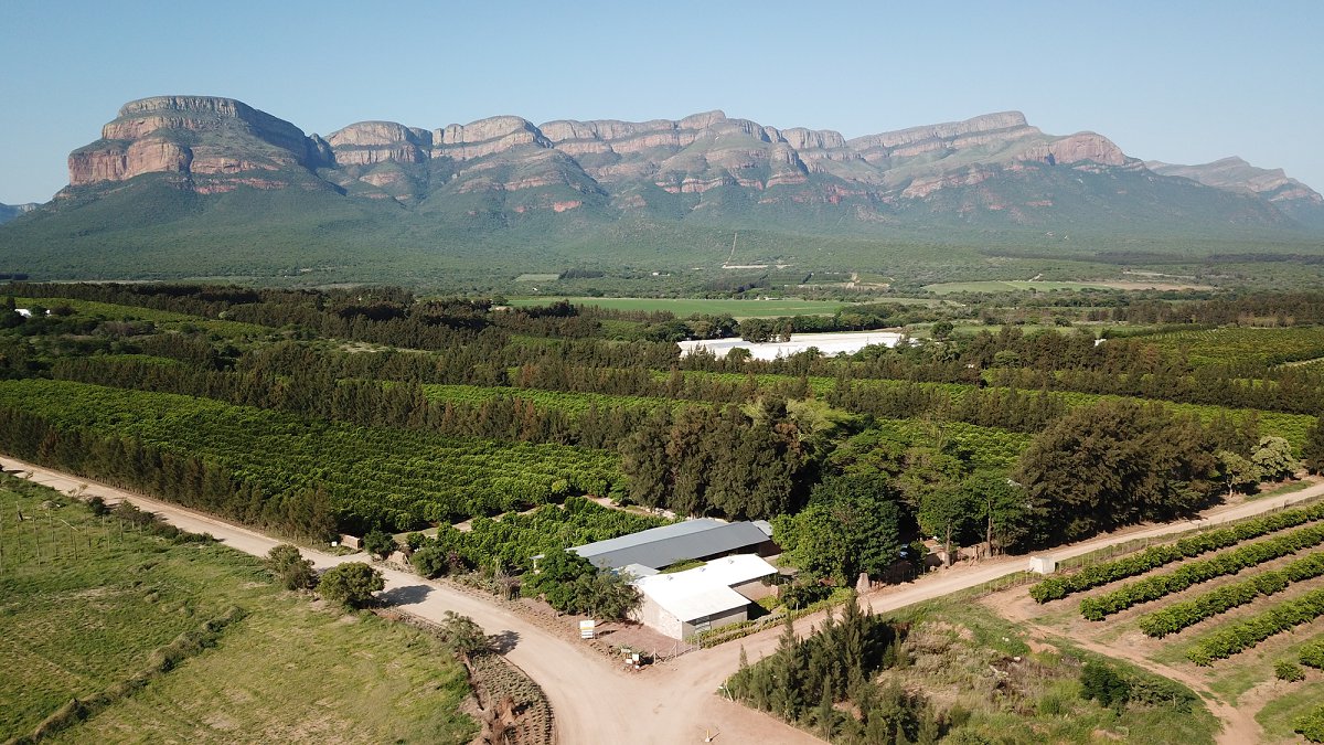 wedding venues limpopo