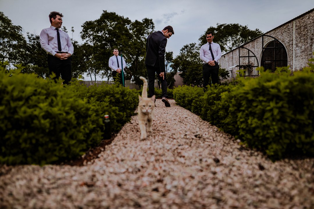 groen klassieke troue