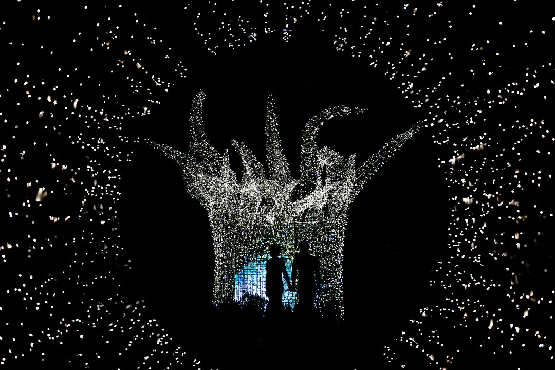 groen klassieke troue