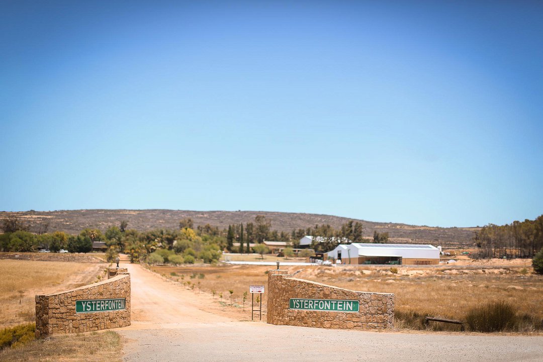 Plaastroue in Clanwilliam