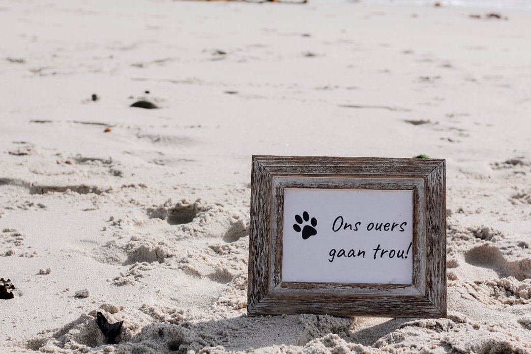 Beach Engagement Photo Session
