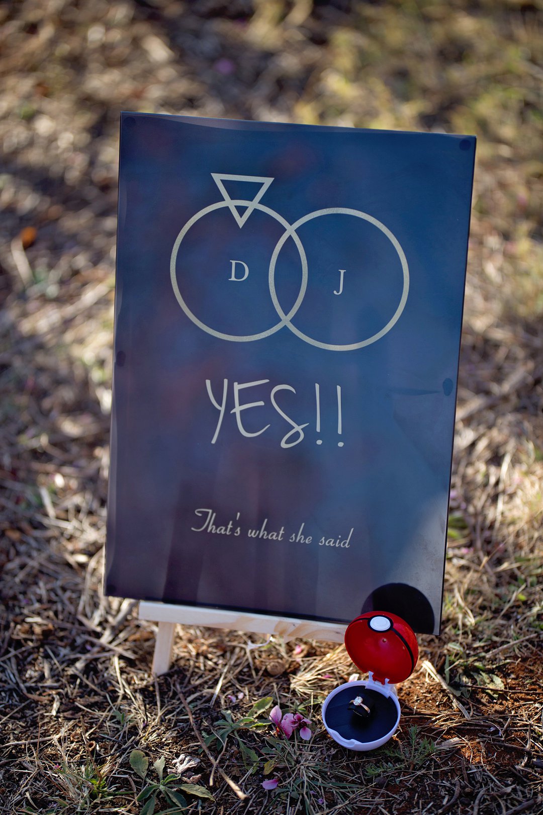 cherry blossom engagement photos