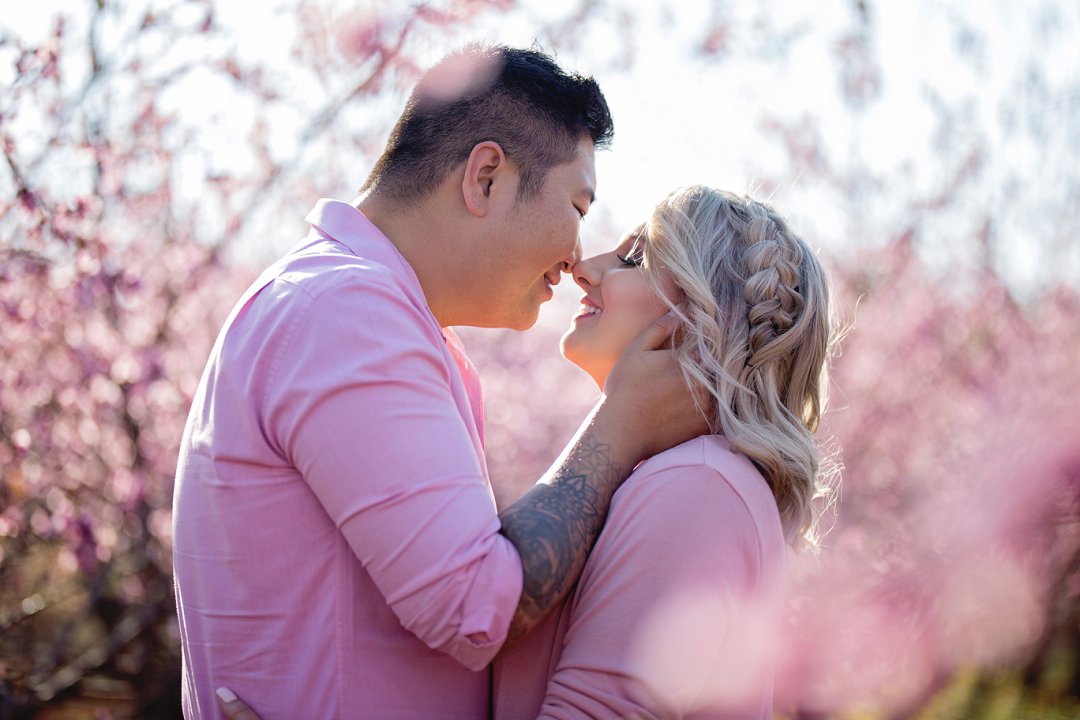 cherry blossom engagement photos