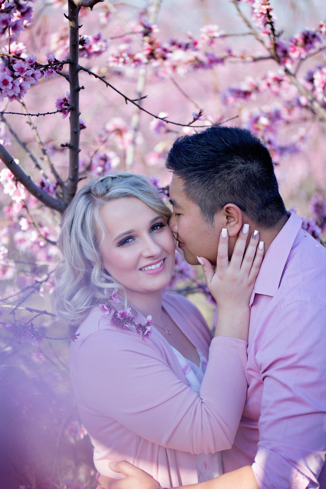 cherry blossom engagement photos