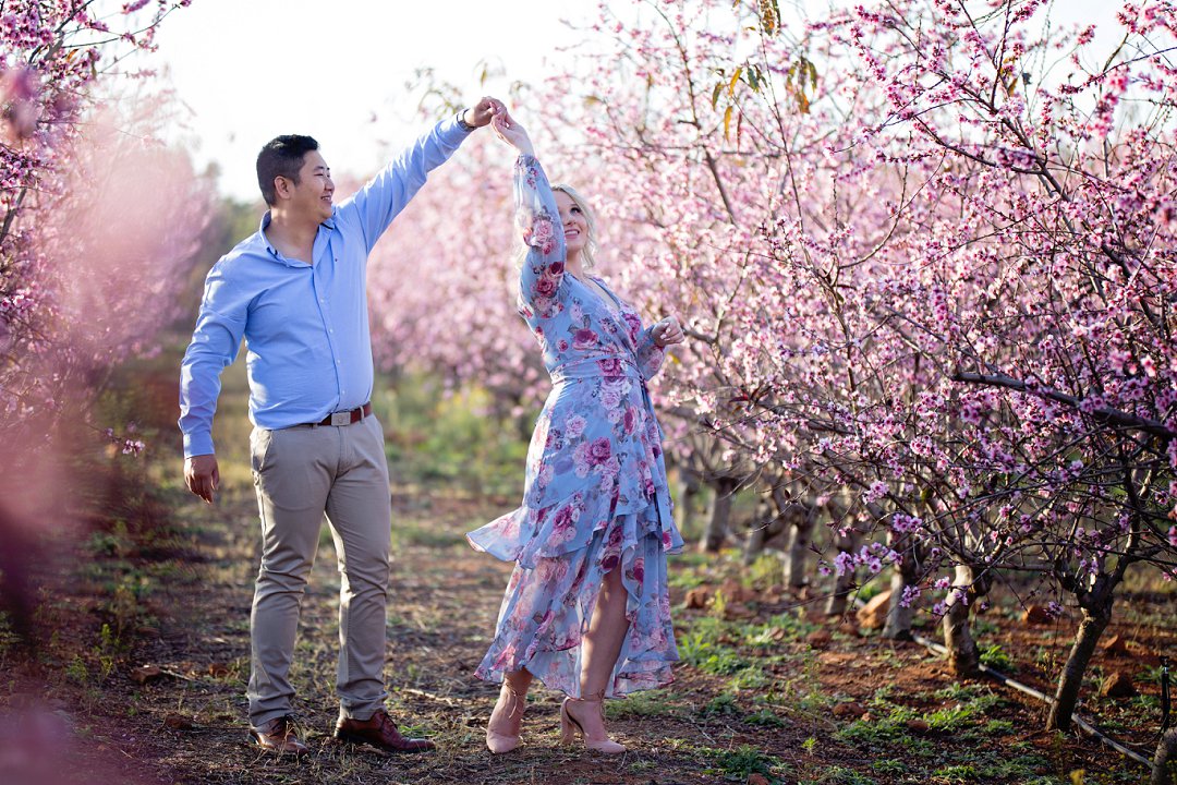 cherry blossom engagement photos