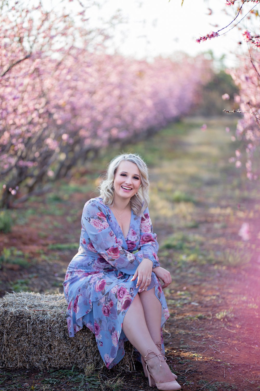 cherry blossom engagement photos