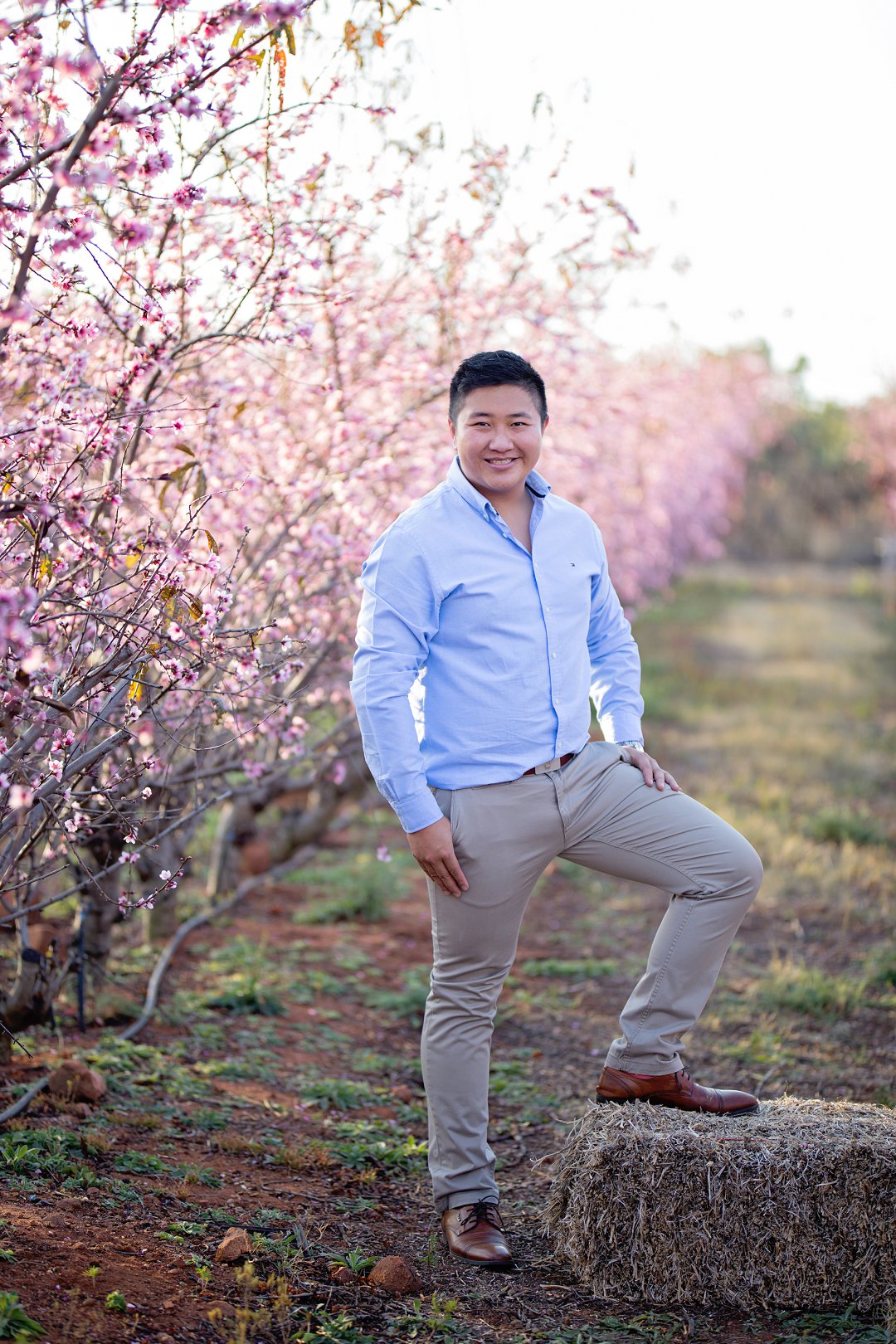 cherry blossom engagement photos
