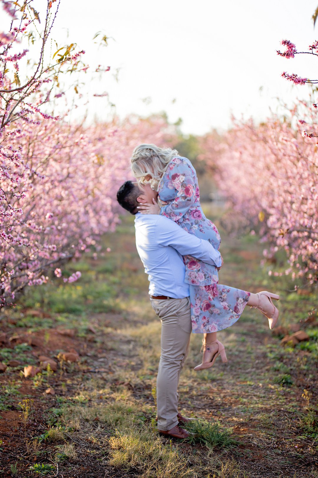 cherry blossom engagement photos