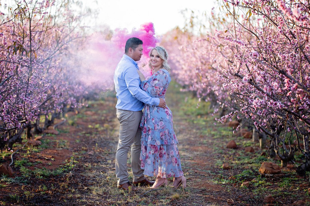 cherry blossom engagement photos