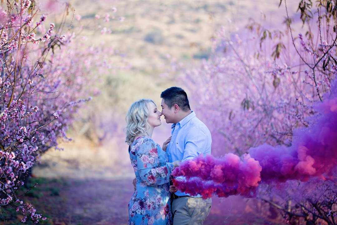 cherry blossom engagement photos