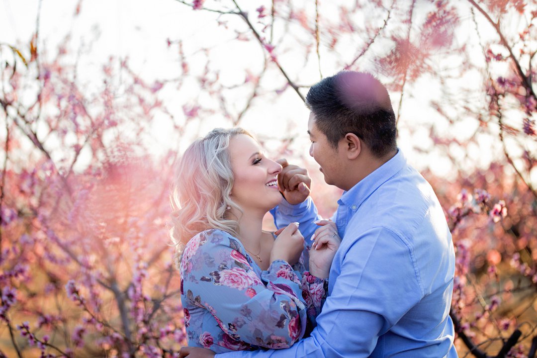cherry blossom engagement photos