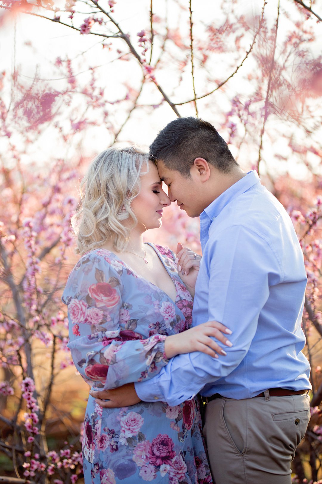 cherry blossom engagement photos