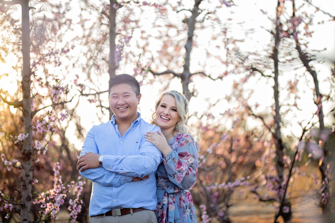 cherry blossom engagement photos