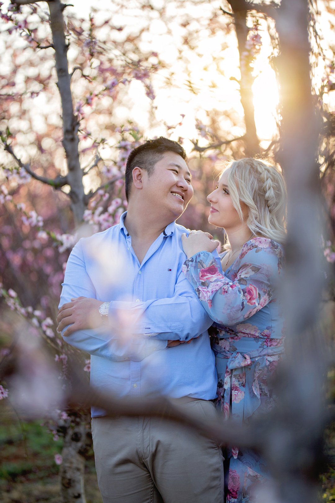 cherry blossom engagement photos