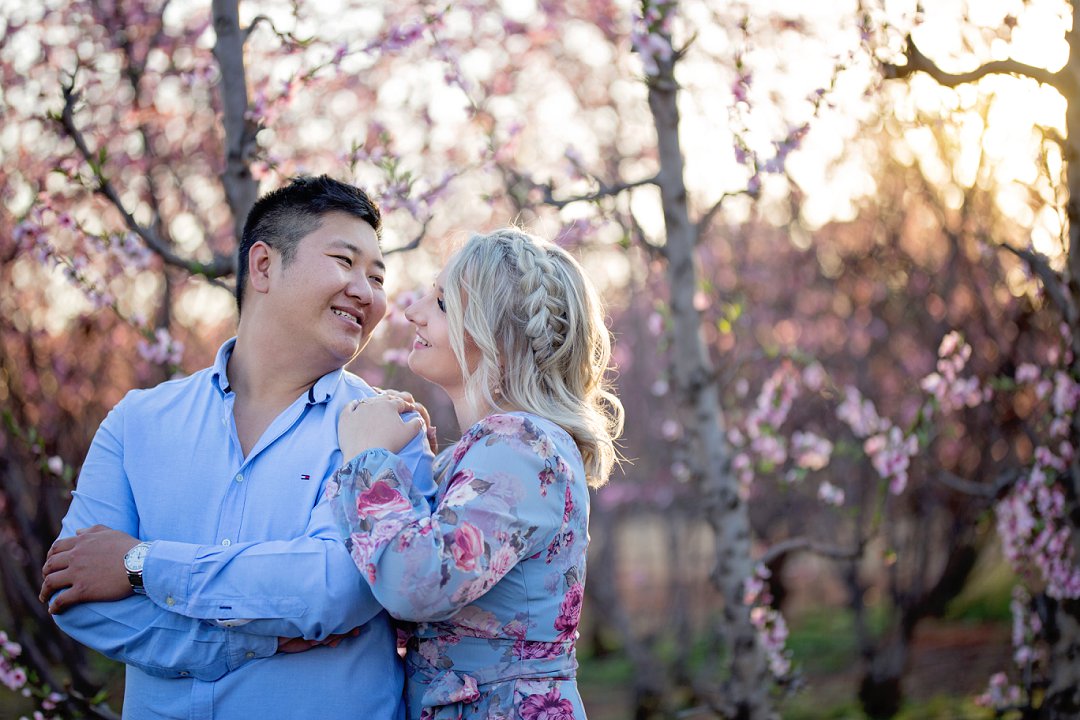 cherry blossom engagement photos