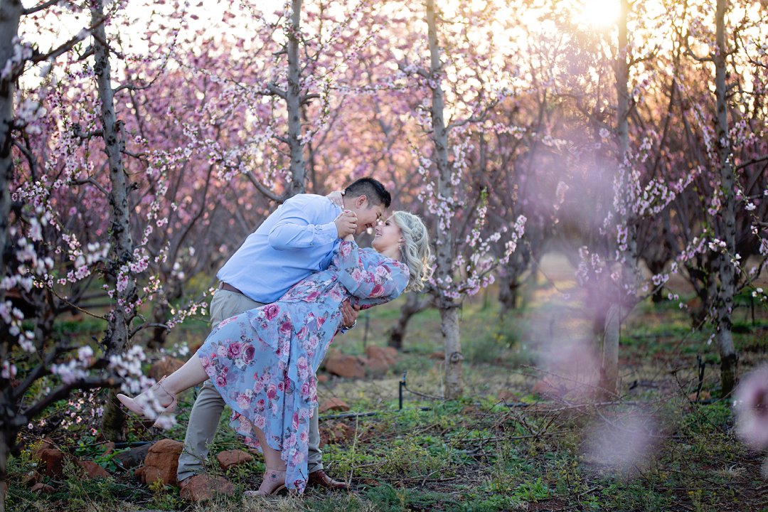 cherry blossom engagement photos