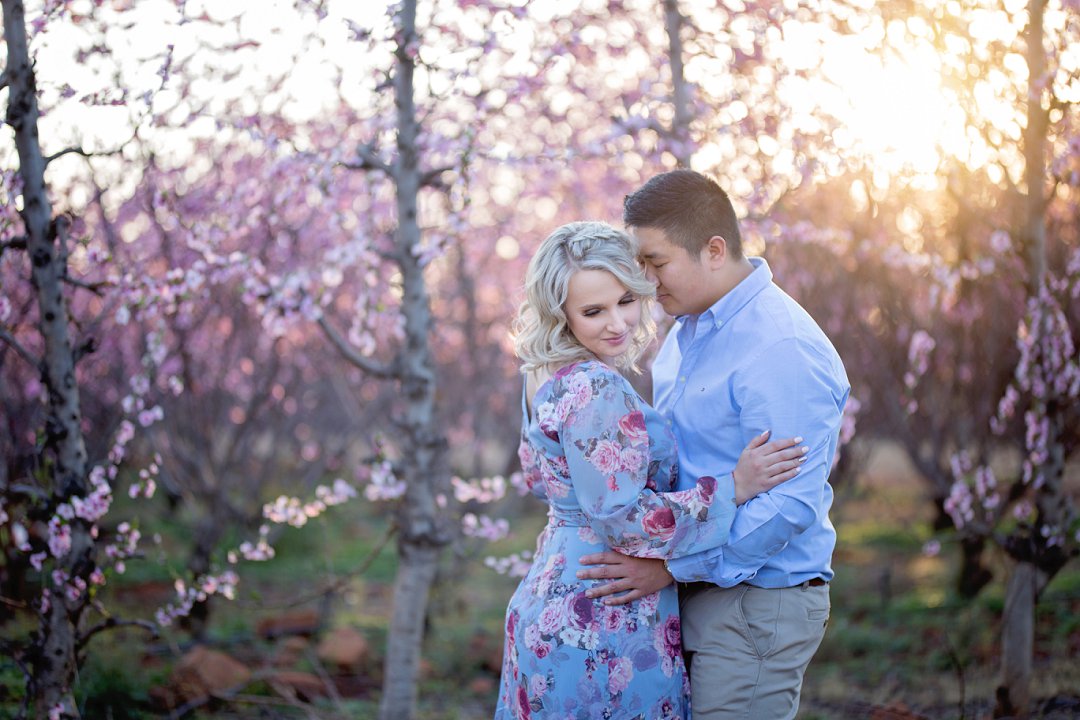 cherry blossom engagement photos