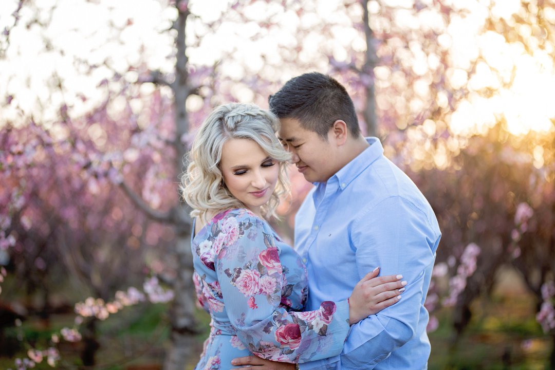 cherry blossom engagement photos