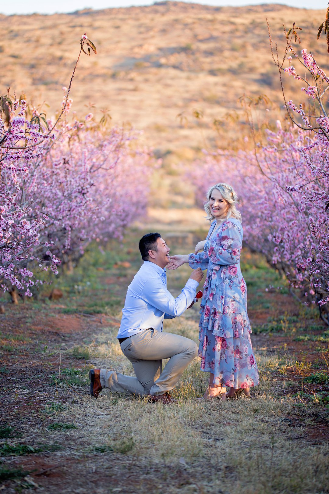 cherry blossom engagement photos