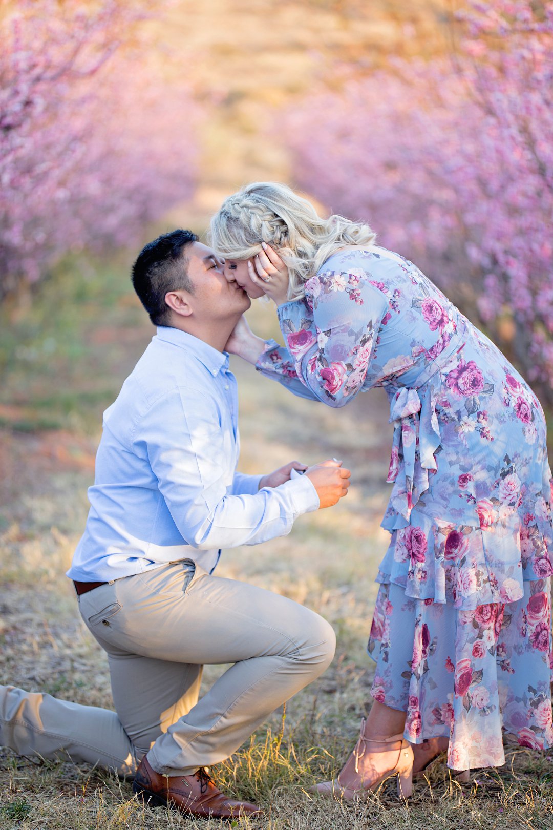 cherry blossom engagement photos
