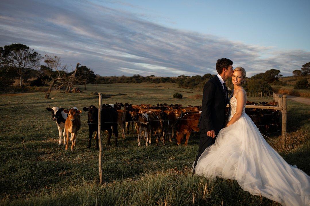 shaula greyvenstein photography