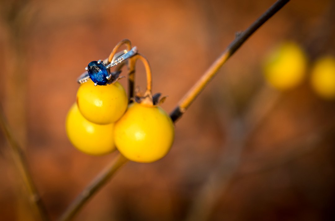 pret verlowing fotosessie