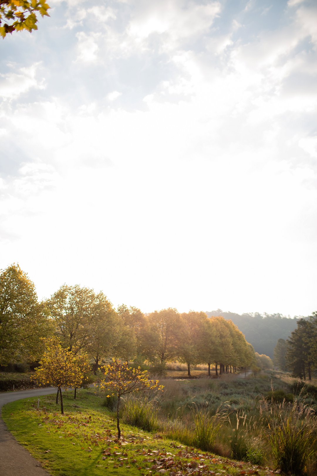 Walkersons Hotel & Spa in Dullstroom