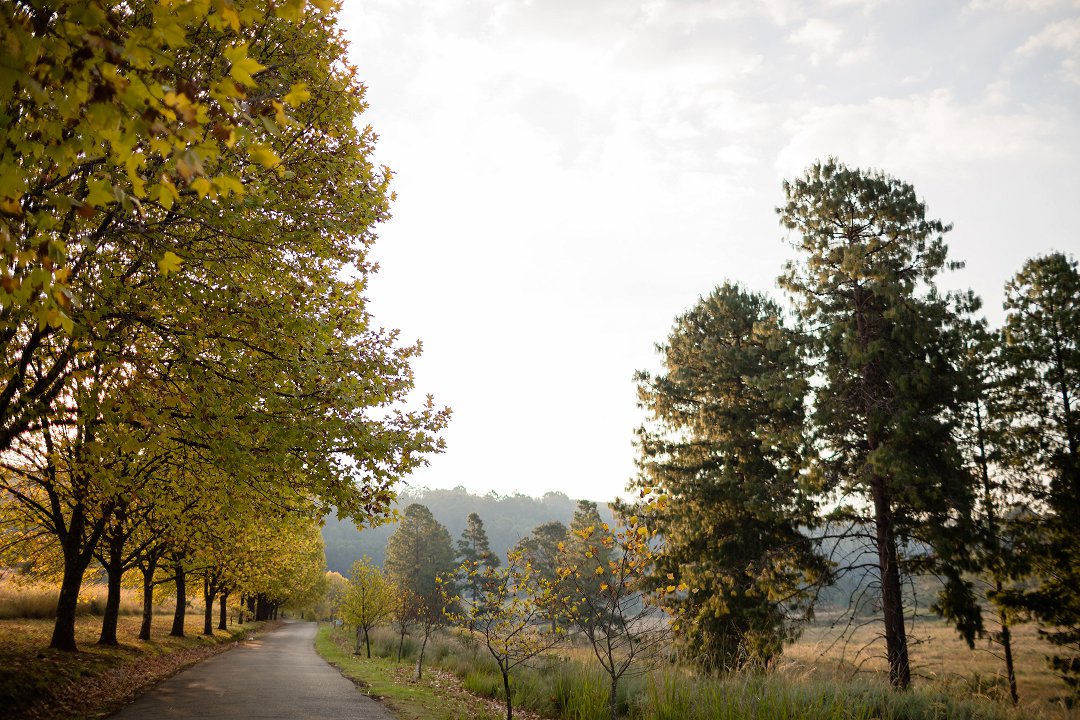 Walkersons Hotel & Spa in Dullstroom