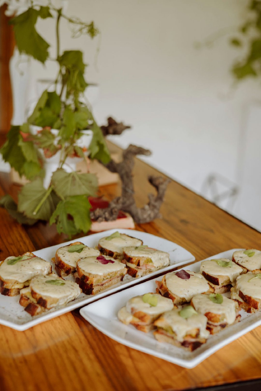 Leeftijd Catering, Montagu, Western Cape