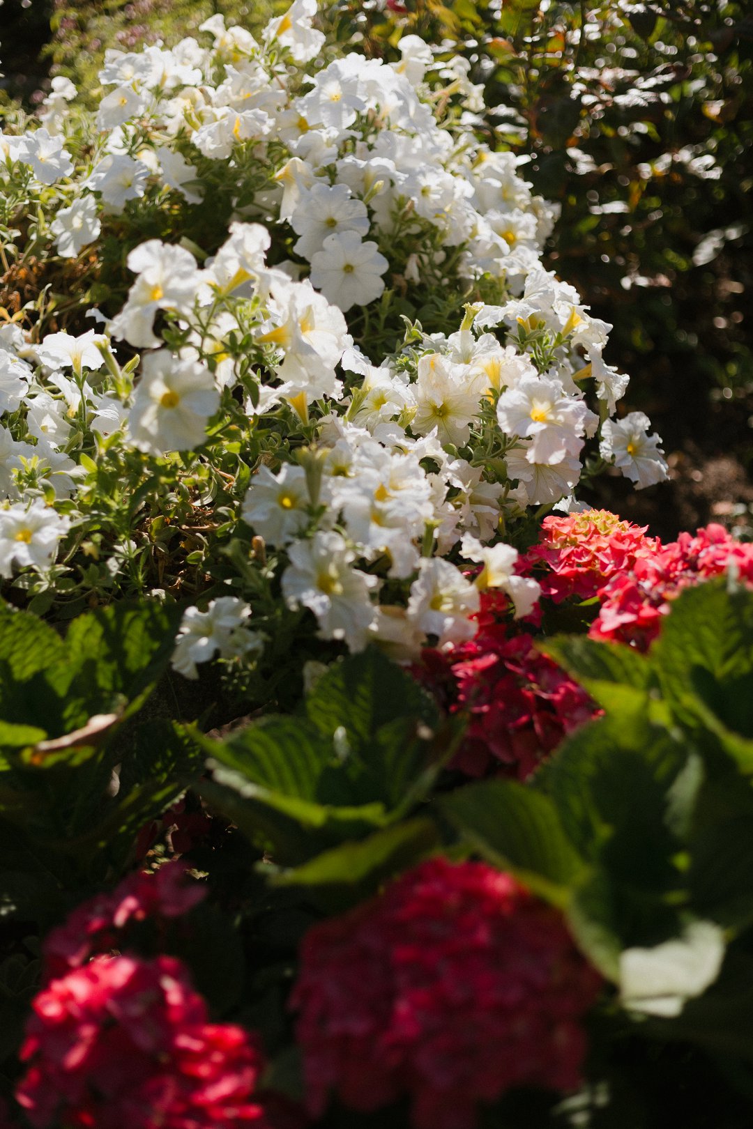 Plumstead wedding venue