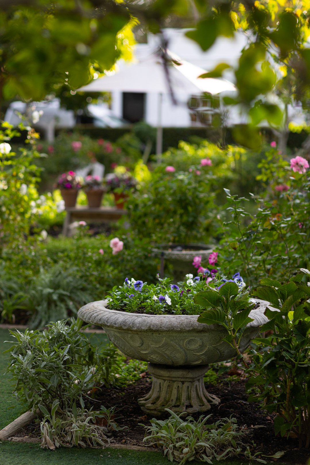 Plumstead wedding venue