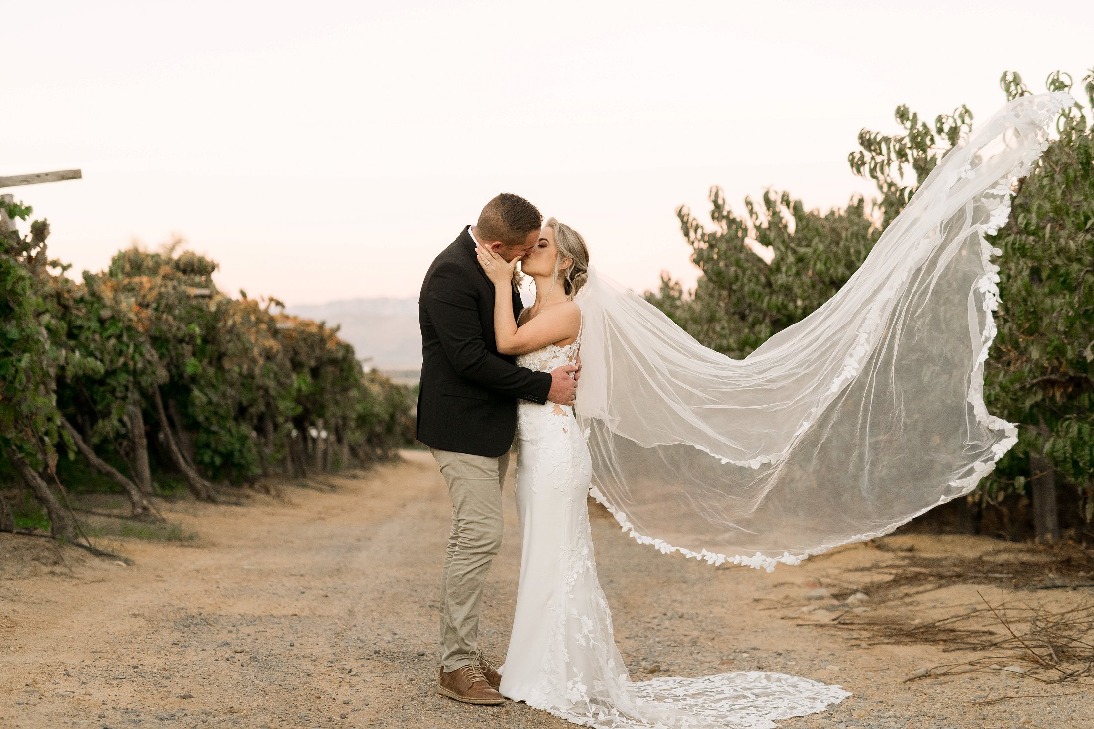 Phillip & Luanelle se Stylvolle Selfdoen Troue in Riebeek Kasteel