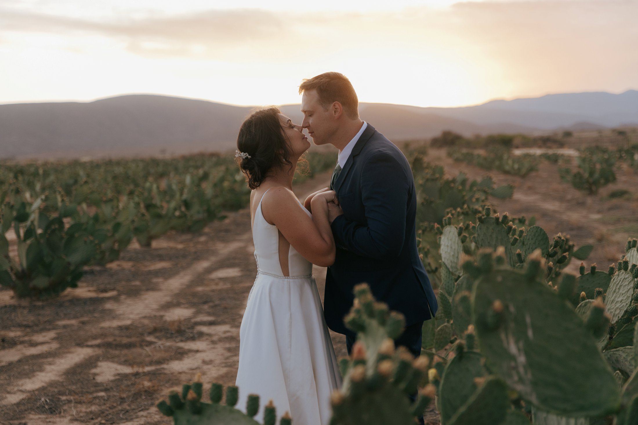 Ivor & Su-Raé se Plaatroue onder die Klein Karoo Sterre in Calitzdorp